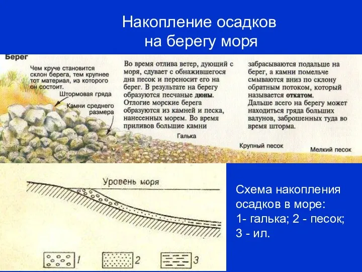 Накопление осадков на берегу моря Схема накопления осадков в море: