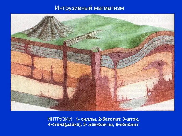 Интрузивный магматизм ИНТРУЗИИ : 1- силлы, 2-батолит, 3-шток, 4-стена(дайка), 5- лакколиты, 6-лополит