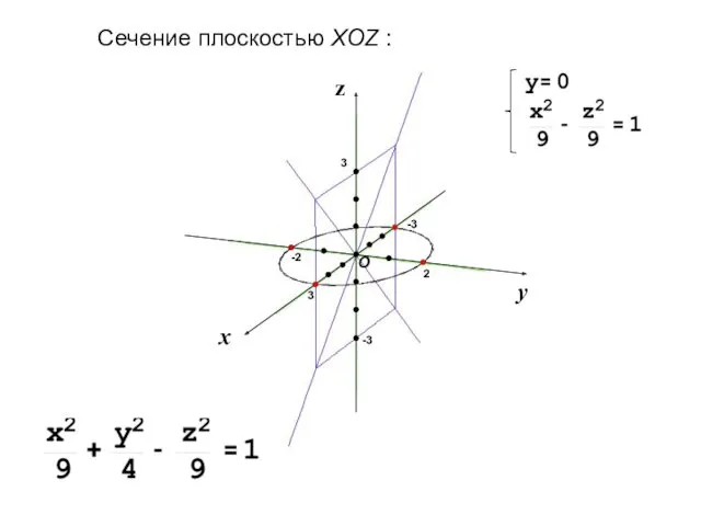 Сечение плоскостью XOZ :