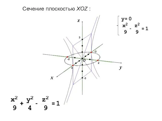 Сечение плоскостью XOZ :