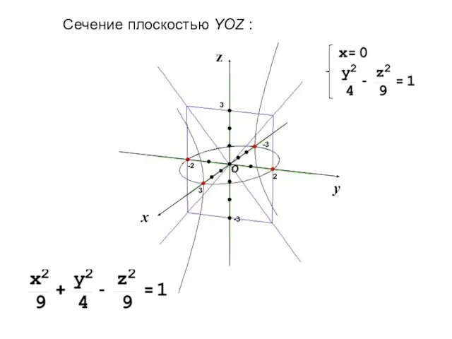 Сечение плоскостью YOZ :