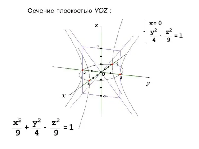 Сечение плоскостью YOZ :