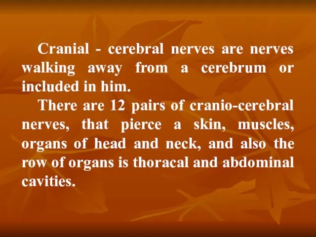 Cranial - cerebral nerves are nerves walking away from a