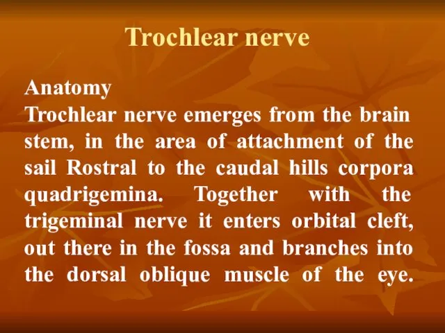 Trochlear nerve Anatomy Trochlear nerve emerges from the brain stem,