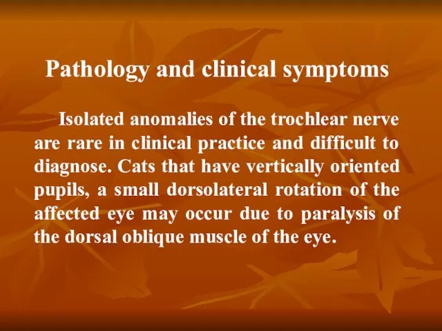Pathology and clinical symptoms Isolated anomalies of the trochlear nerve