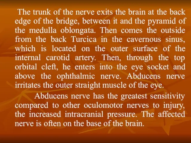 The trunk of the nerve exits the brain at the