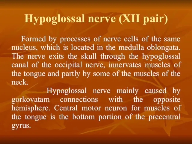 Hypoglossal nerve (XII pair) Formed by processes of nerve cells