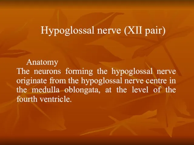 Anatomy The neurons forming the hypoglossal nerve originate from the