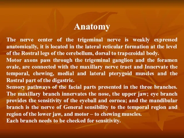 Trigeminal nerve Anatomy The nerve center of the trigeminal nerve