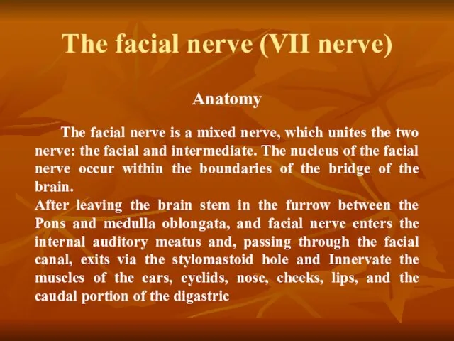 The facial nerve (VII nerve) Anatomy The facial nerve is