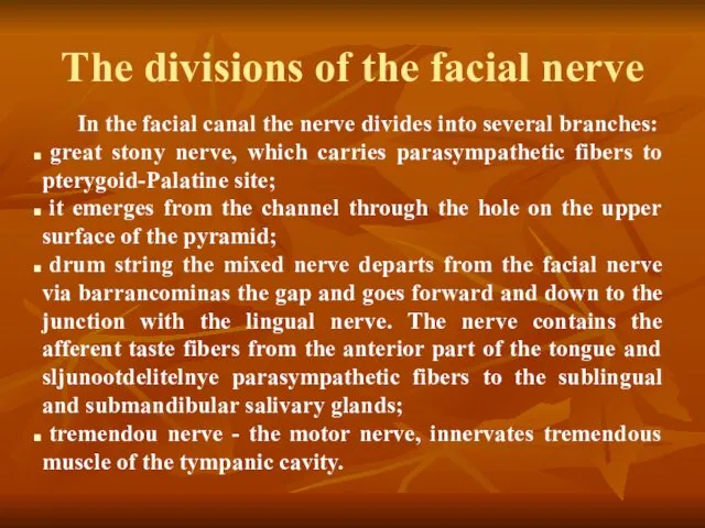 The divisions of the facial nerve In the facial canal