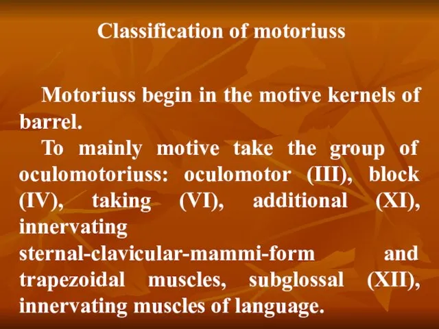 Classification of motoriuss Motoriuss begin in the motive kernels of