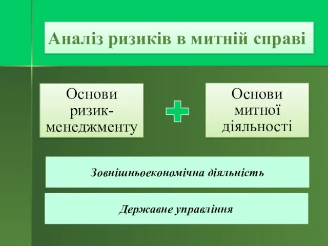 Аналіз ризиків в митній справі Основи ризик-менеджменту Основи митної діяльності Зовнішньоекономічна діяльність Державне управління