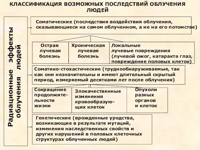 КЛАССИФИКАЦИЯ ВОЗМОЖНЫХ ПОСЛЕДСТВИЙ ОБЛУЧЕНИЯ ЛЮДЕЙ Радиационные эффекты облучения людей Соматические