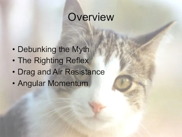 Overview Debunking the Myth The Righting Reflex Drag and Air Resistance Angular Momentum