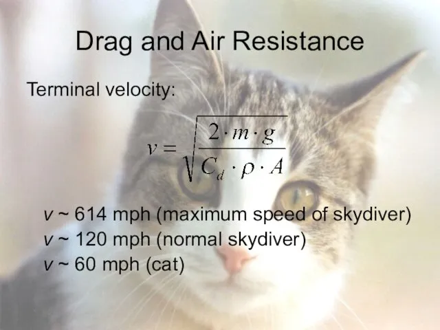 Drag and Air Resistance Terminal velocity: v ~ 614 mph (maximum speed of