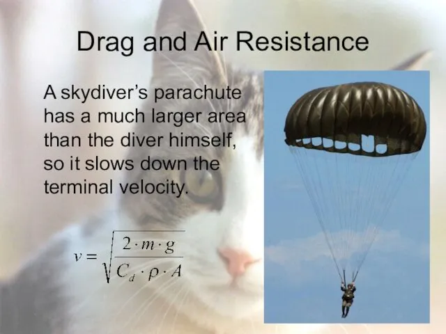 Drag and Air Resistance A skydiver’s parachute has a much larger area than