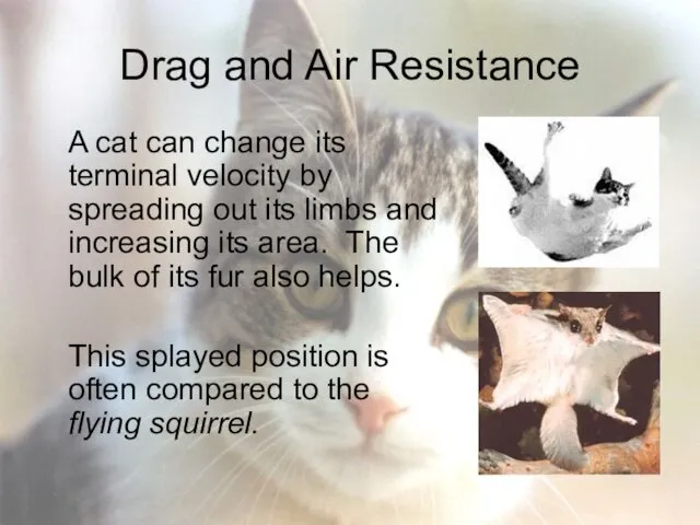 Drag and Air Resistance A cat can change its terminal velocity by spreading