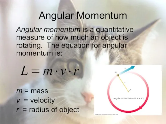 Angular Momentum Angular momentum is a quantitative measure of how much an object