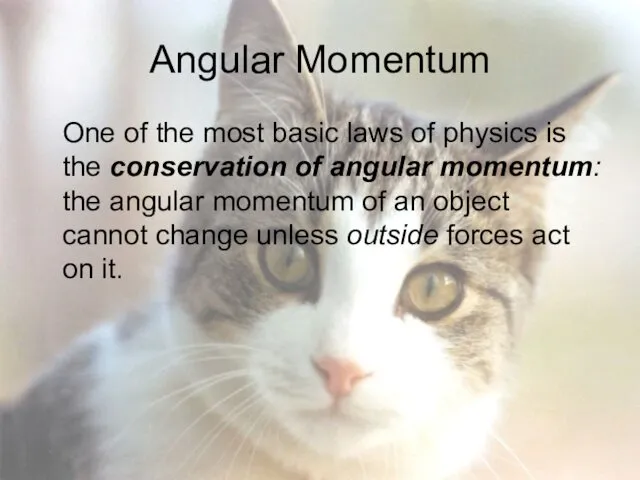Angular Momentum One of the most basic laws of physics is the conservation