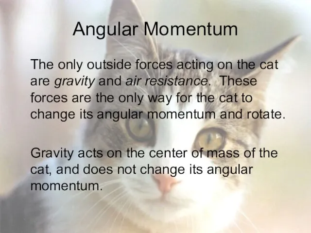Angular Momentum The only outside forces acting on the cat are gravity and