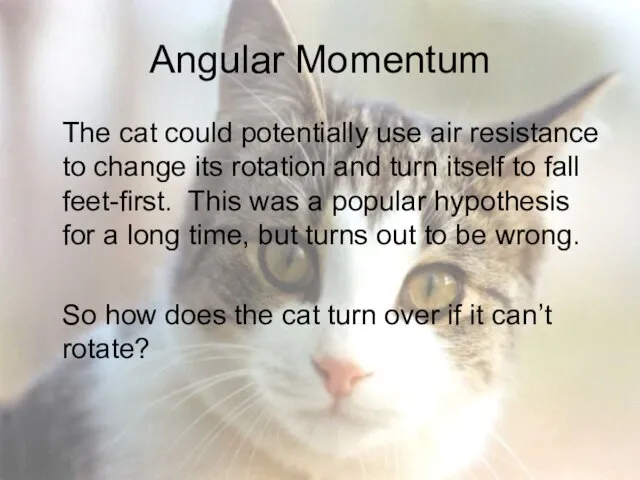 Angular Momentum The cat could potentially use air resistance to change its rotation