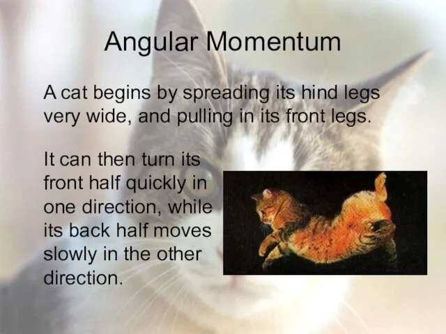 Angular Momentum A cat begins by spreading its hind legs very wide, and