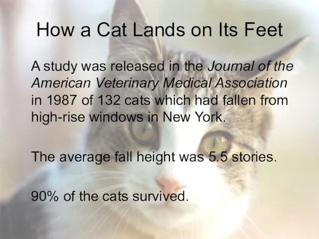 How a Cat Lands on Its Feet A study was released in the
