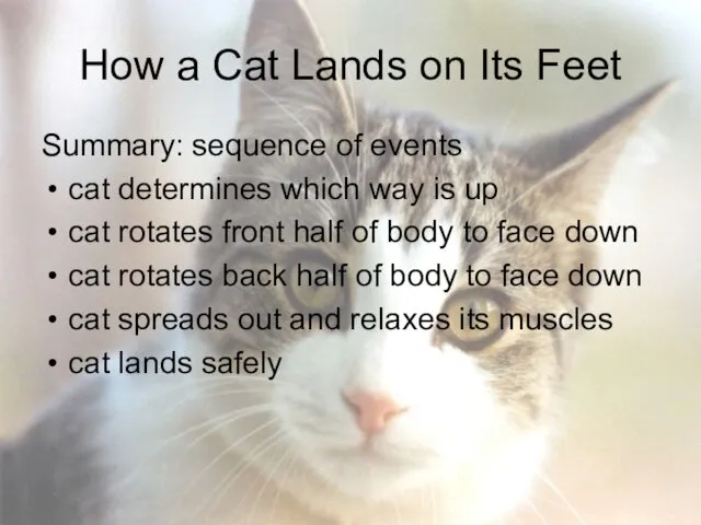 How a Cat Lands on Its Feet Summary: sequence of events cat determines