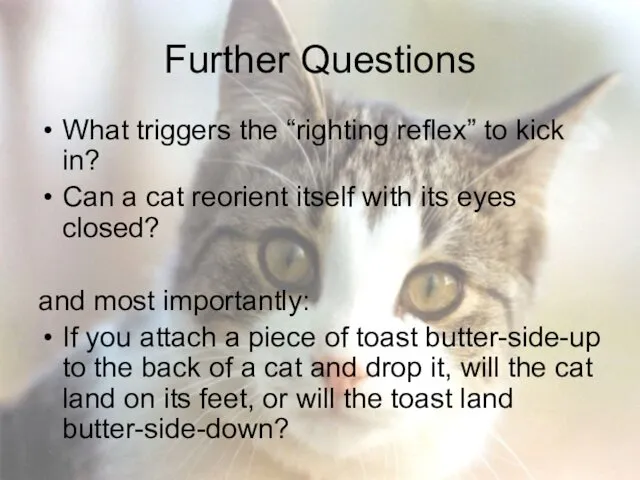 Further Questions What triggers the “righting reflex” to kick in? Can a cat