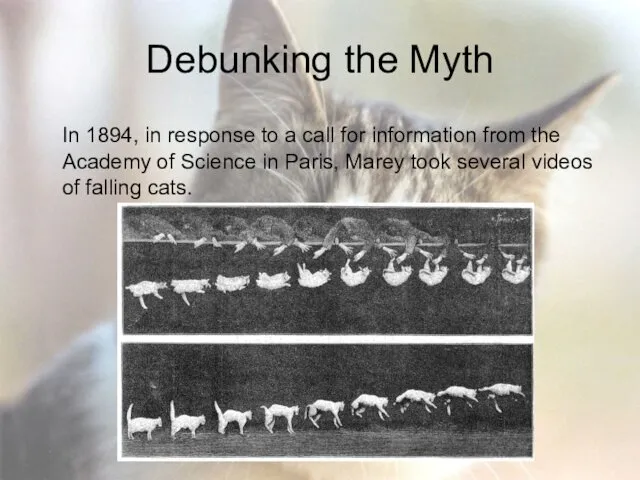 Debunking the Myth In 1894, in response to a call for information from