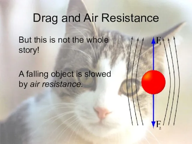 Drag and Air Resistance But this is not the whole story! A falling