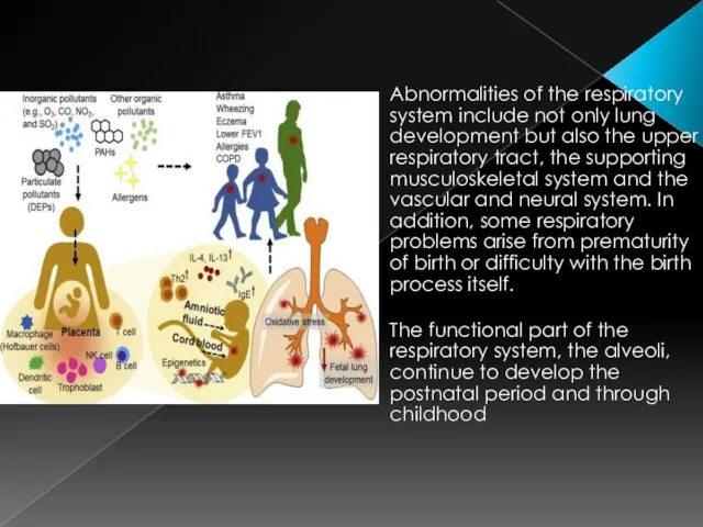 Abnormalities of the respiratory system include not only lung development