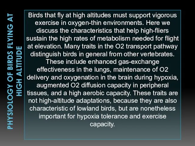 PHYSIOLOGY OF BIRDS FLYING AT HIGH ALTITUDE Birds that fly