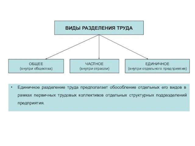 ВИДЫ РАЗДЕЛЕНИЯ ТРУДА ОБЩЕЕ (внутри общества) ЧАСТНОЕ (внутри отрасли) ЕДИНИЧНОЕ