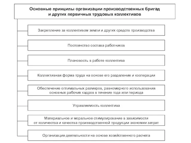 Основные принципы организации производственных бригад и других первичных трудовых коллективов