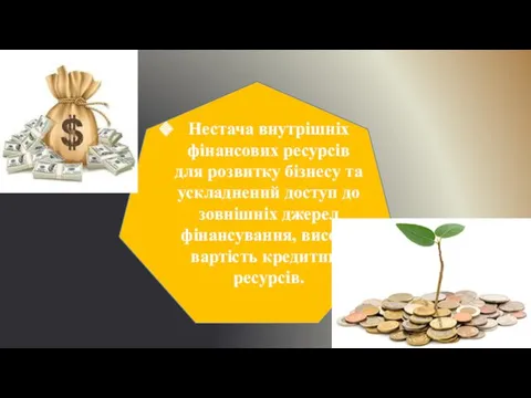 Нестача внутрішніх фінансових ресурсів для розвитку бізнесу та ускладнений доступ