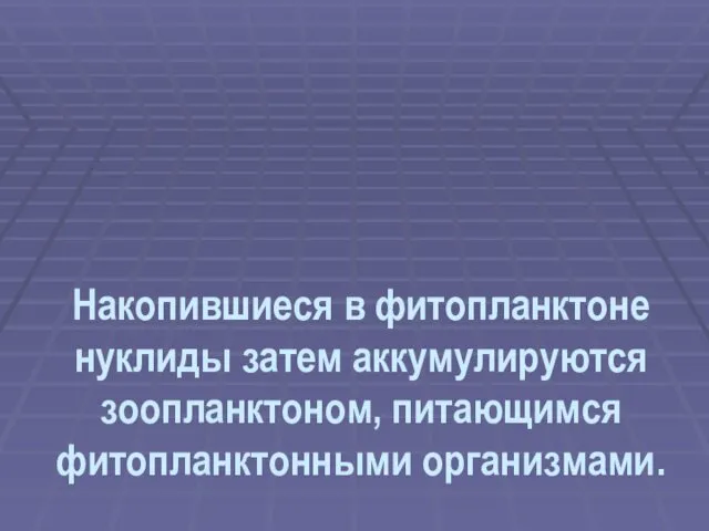 Накопившиеся в фитопланктоне нуклиды затем аккумулируются зоопланктоном, питающимся фитопланктонными организмами.