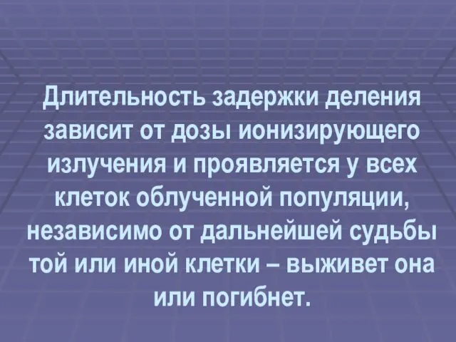 Длительность задержки деления зависит от дозы ионизирующего излучения и проявляется