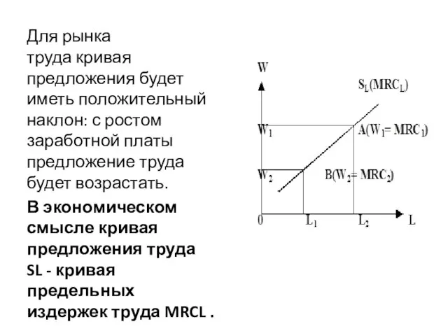 Для рынка труда кривая предложения будет иметь положительный наклон: с