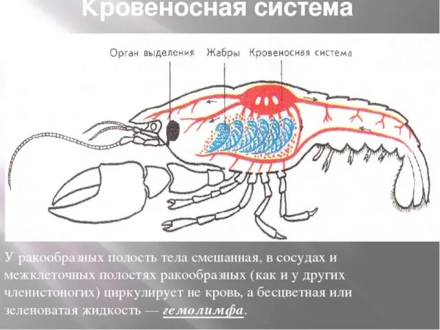 Ikaz.kz - ашық мәліметтер порталы