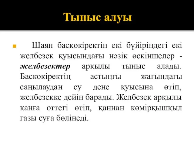 Тыныс алуы Шаян баскөкіректің екі бүйіріндегі екі желбезек қуысындағы нәзік