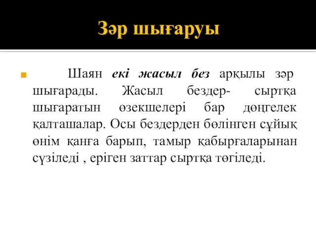 Зәр шығаруы Шаян екі жасыл без арқылы зәр шығарады. Жасыл