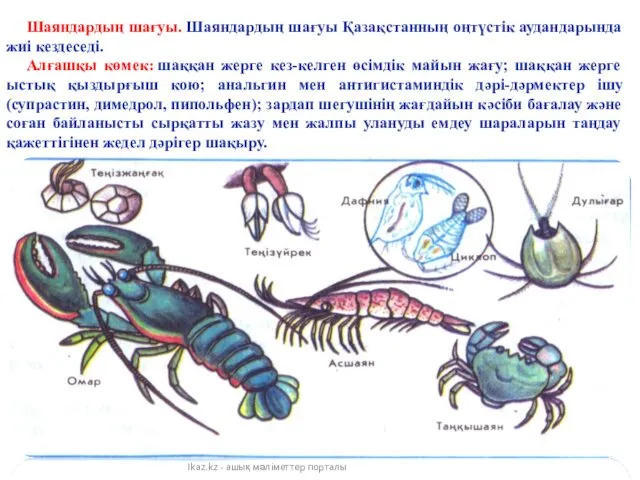 Ikaz.kz - ашық мәліметтер порталы Шаяндардың шағуы. Шаяндардың шағуы Қазақстанның