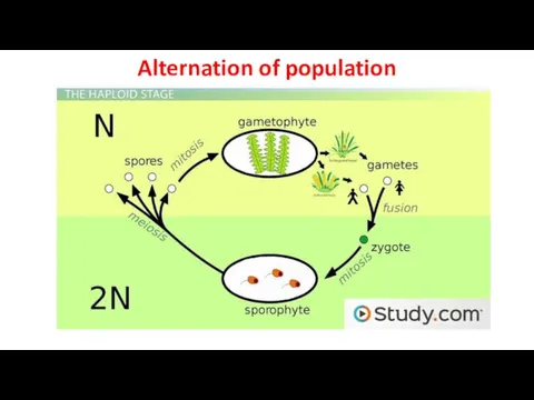 Alternation of population