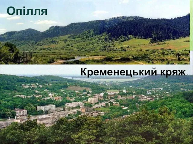 Опілля Кременецький кряж