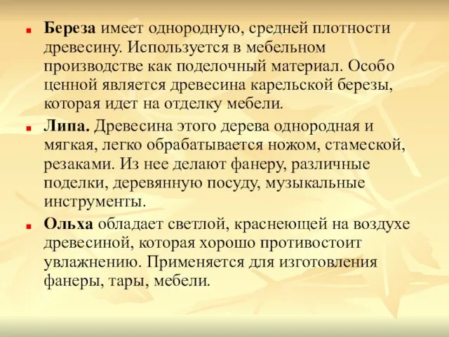 Береза имеет однородную, средней плотности древесину. Используется в мебельном производстве