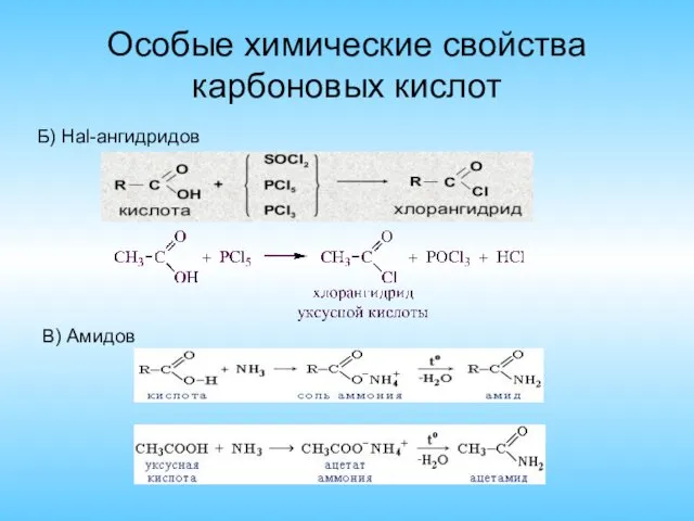 Особые химические свойства карбоновых кислот В) Амидов Б) Hal-ангидридов