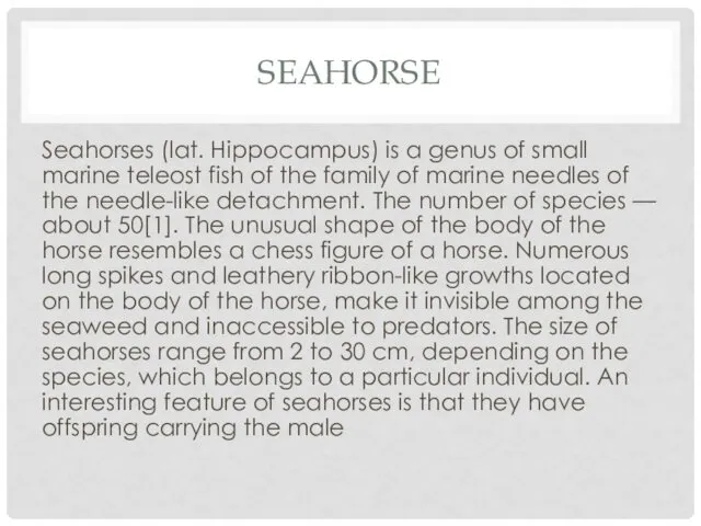 SEAHORSE Seahorses (lat. Hippocampus) is a genus of small marine