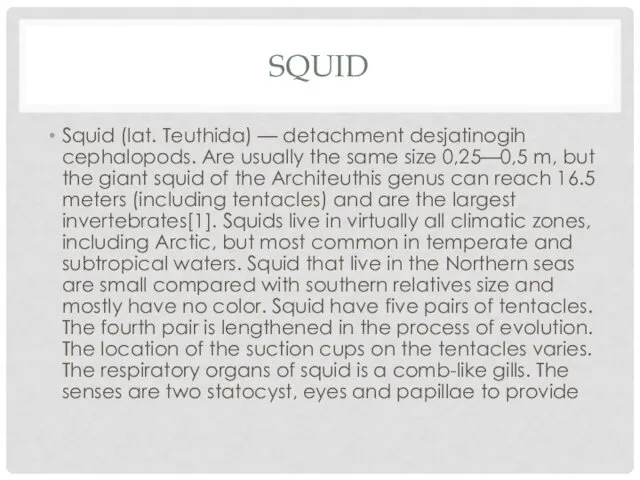 SQUID Squid (lat. Teuthida) — detachment desjatinogih cephalopods. Are usually